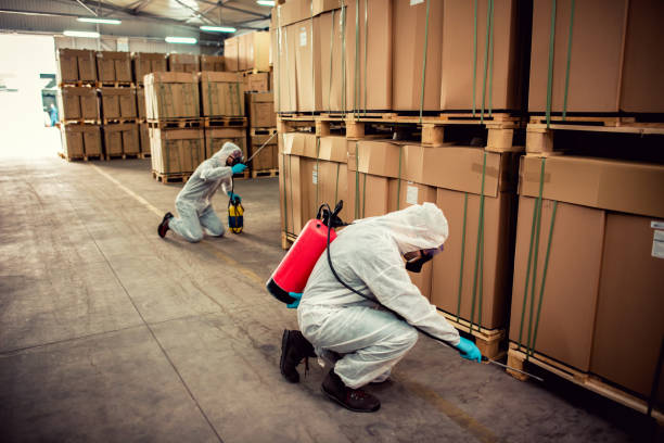Best Pest Control Near Me in Seabrook Farms, NJ