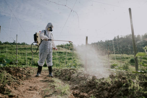 Best Ant Control Services  in Seabrook Farms, NJ
