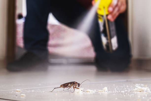 Best Flea Control Services  in Seabrook Farms, NJ