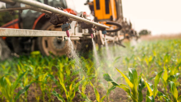 Reliable Seabrook Farms, NJ Pest Control Solutions